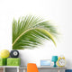 Palm Coconut White Wall Mural