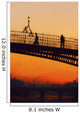 Ha'penny Bridge, Dublin, Co Dublin, Ireland Wall Mural