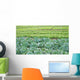Field Salad Sprouts Wall Mural
