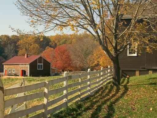 Fall Farm Fence Wall Decal