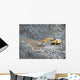 Quarry Wall Decal Design 1