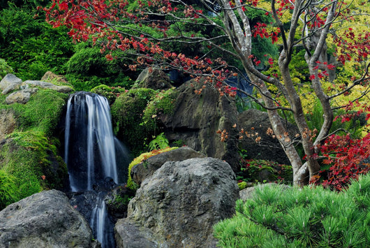 Japanese Tea Garden Wall Decal
