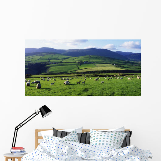 Anascual, Dingle Peninsula, Co Kerry, Ireland Wall Mural