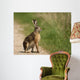 Hare Wayside