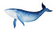 Spirited Blue Whale Watercolor Wall Decal