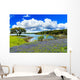 Texas Bluebonnets Wall Decal