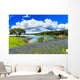 Texas Bluebonnets Wall Decal