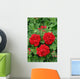 ivy geranium red double Wall Mural