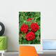 ivy geranium red double Wall Mural