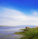 Carrowmore Lake, Co Mayo, Ireland Wall Mural