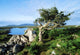 Errisbeg Mountain, Co Galway, Ireland Wall Mural