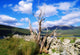 Killary Harbour, Connemara, Co Galway, Ireland Wall Mural