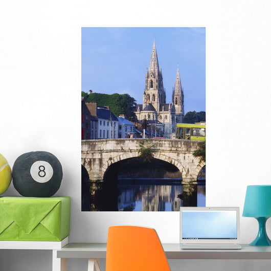 St Finbarre's Cathedral, Cork, Co Cork, Ireland Wall Mural