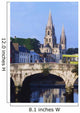 St Finbarre's Cathedral, Cork, Co Cork, Ireland Wall Mural