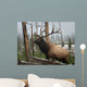 Elk Yosemite Wall Decal