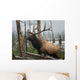 Elk Wall Mural