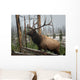 Elk Wall Mural