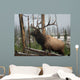 Elk Yosemite Wall Decal