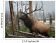 Elk Wall Mural