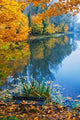 Au Autumn Wall Decal Design 2