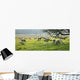 Sheep Grazing In A Pasture, Derbyshire, England Wall Mural