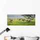 Sheep Grazing In A Pasture, Derbyshire, England Wall Mural