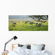 Sheep Grazing In A Pasture, Derbyshire, England Wall Mural