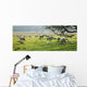 Sheep Grazing In A Pasture, Derbyshire, England Wall Mural