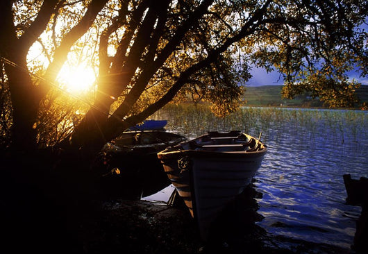 Lough Arrow, Co Sligo, Ireland Wall Mural