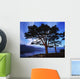 Lough Leane, Lakes Of Killarney, Killarney, Co Kerry, Ireland Wall Mural