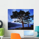 Lough Leane, Lakes Of Killarney, Killarney, Co Kerry, Ireland Wall Mural