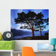 Lough Leane, Lakes Of Killarney, Killarney, Co Kerry, Ireland Wall Mural