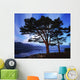 Lough Leane, Lakes Of Killarney, Killarney, Co Kerry, Ireland Wall Mural