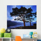 Lough Leane, Lakes Of Killarney, Killarney, Co Kerry, Ireland Wall Mural