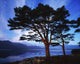 Lough Leane, Lakes Of Killarney, Killarney, Co Kerry, Ireland Wall Mural