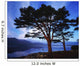 Lough Leane, Lakes Of Killarney, Killarney, Co Kerry, Ireland Wall Mural