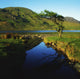 Co Galway, Kylemore Lough, Benbaun Mountain Connemara Wall Mural