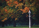 Phoenix Park, Dublin, Co Dublin, Ireland Wall Mural
