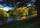 Phoenix Park, Dublin, Co Dublin, Ireland Wall Mural