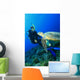 Turtle meets Scuba Diver Wall Mural