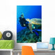 Turtle meets Scuba Diver Wall Mural