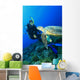 Turtle meets Scuba Diver Wall Mural