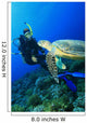 Turtle meets Scuba Diver Wall Mural