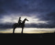 Gaelic Chieftain' By Maurice Harron, Boyle, Co Roscommon, Ireland Wall Mural