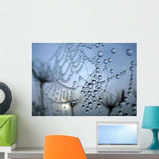 Cobweb Wall Decal