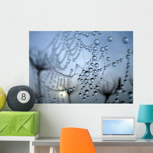 Cobweb Wall Decal