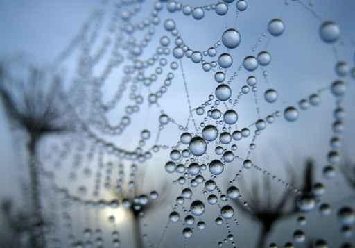 Cobweb Wall Decal