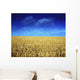 Co Louth,Ireland;Wheat Field Wall Mural