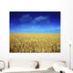Co Louth,Ireland;Wheat Field Wall Mural