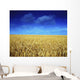 Co Louth,Ireland;Wheat Field Wall Mural